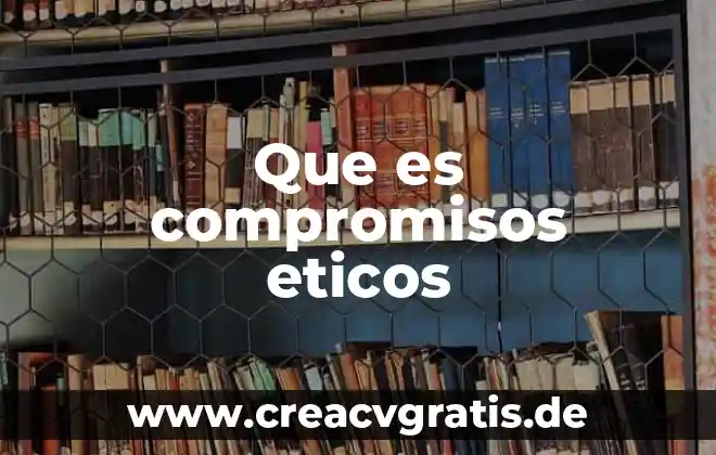 Que es el significado de principios éticos 5 Que es compromisos eticos