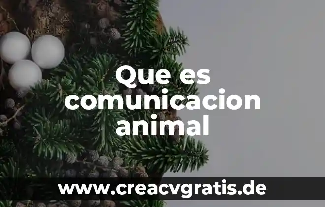 Que es departamento de comunicación 8 Que es comunicacion animal