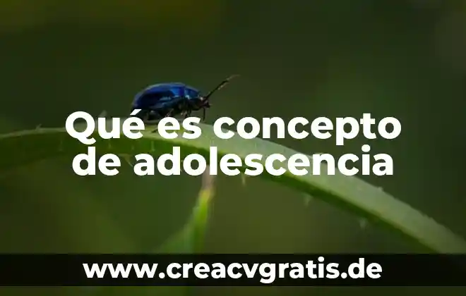 Ensayo sobre que es la adolescencia 6 Qué es concepto de adolescencia