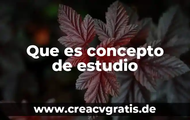 Significado de paradigma positivista que es concepto y definicion 7 Que es concepto de estudio