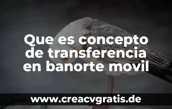 Qué es la disciplina concepto para niños 6 Que es concepto de transferencia en banorte movil