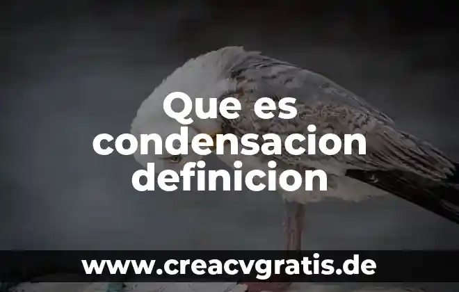 Qué es un reporte político ejemplo para niños 3 Que es condensacion definicion