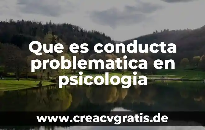 Qué es la atención neuro psicología 7 Que es conducta problematica en psicologia