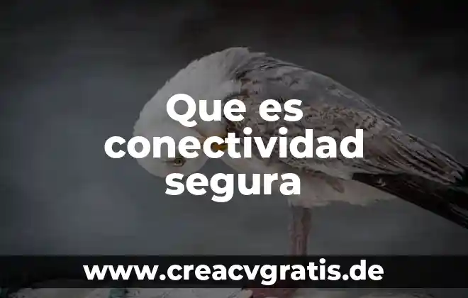 Que es el acceso al agua segura 5 Que es conectividad segura