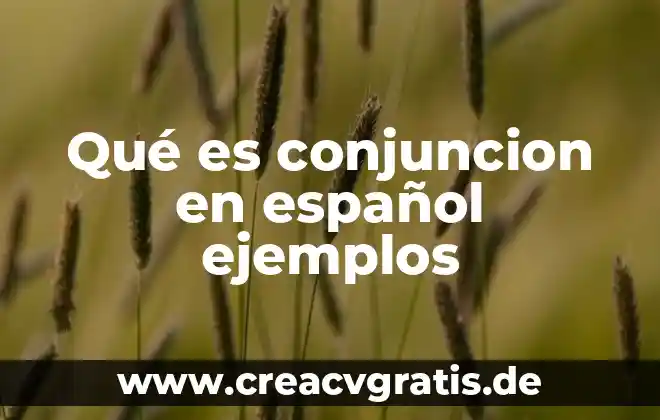 Qué es un metáfora y ejemplos español 3 Qué es conjuncion en español ejemplos