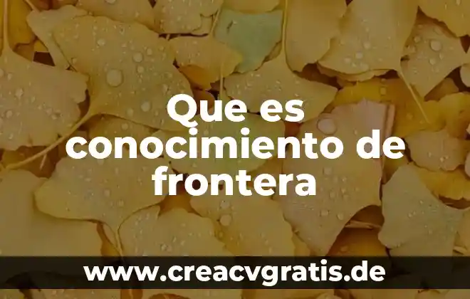 Que es la combinación de los diversos tipos de conocimiento 4 Que es conocimiento de frontera