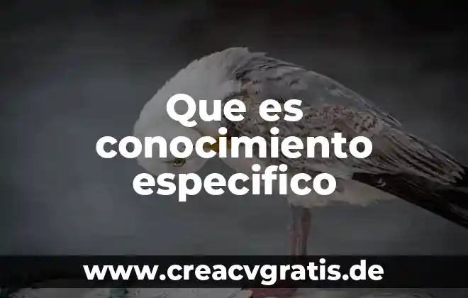 Que es problema especifico ubicacion curricular en la practica docente 4 Que es conocimiento especifico