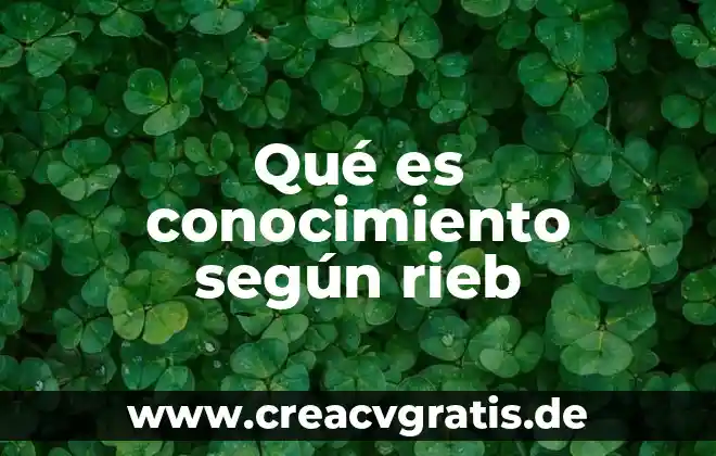 Que es sesion de grupo segun autores 3 Qué es conocimiento según rieb
