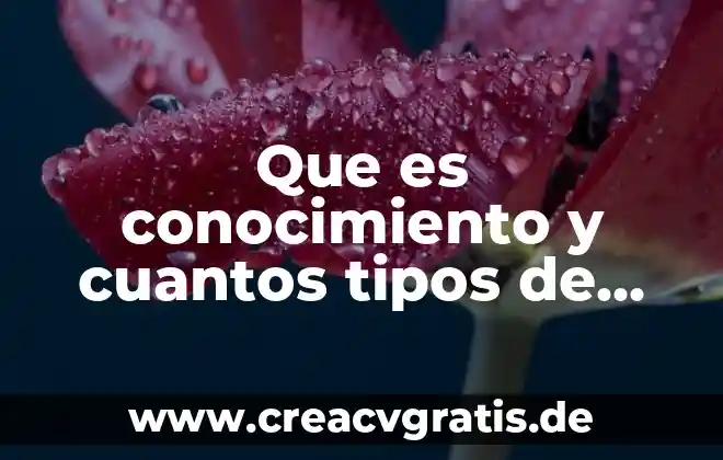 Que es la murga y que tipos existen 8 Que es conocimiento y cuantos tipos de conocimientos existen