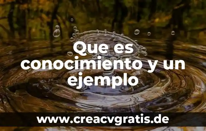 5W más 1H que es y ejemplo 5 Que es conocimiento y un ejemplo