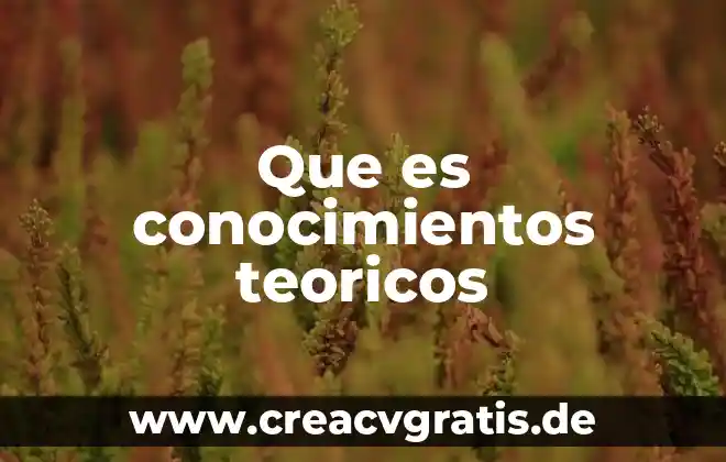 Que es el examen de conocimientos y que evalua 8 Que es conocimientos teoricos