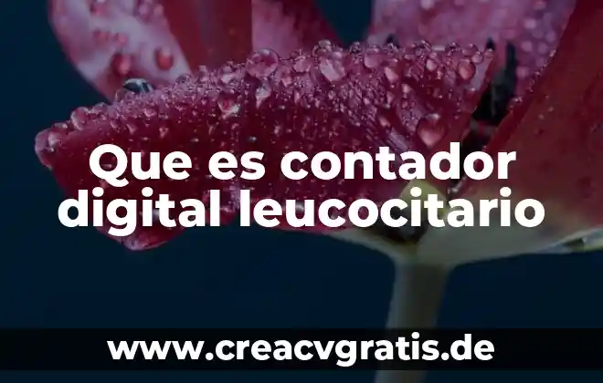 Qué es el código de ética profesional del contador 7 Que es contador digital leucocitario