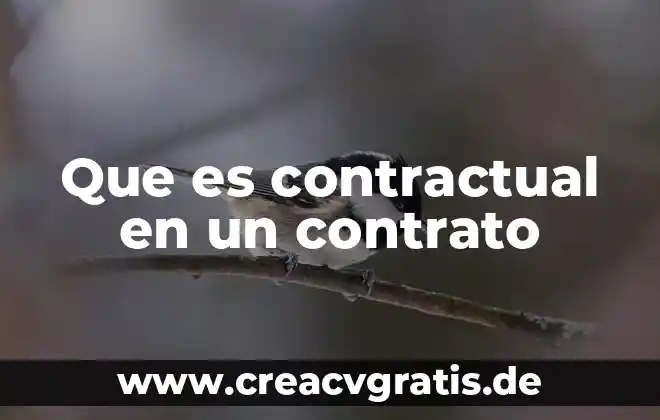 Qué es la lesión del contrato 5 Que es contractual en un contrato