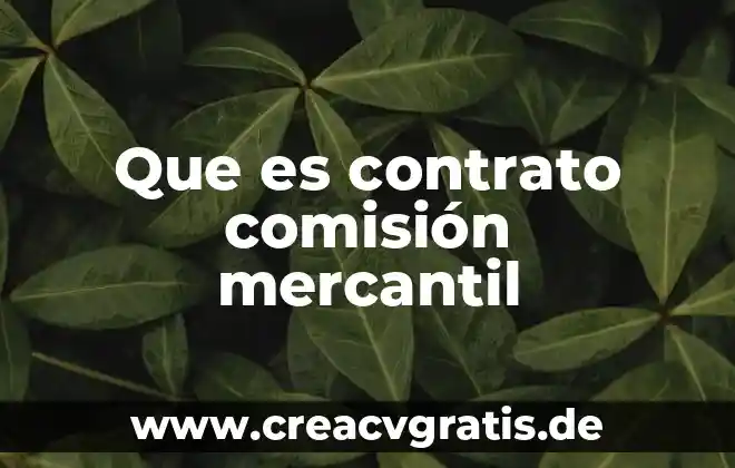 Qué es una sociedad mercantil en contabilidad 6 Que es contrato comisión mercantil