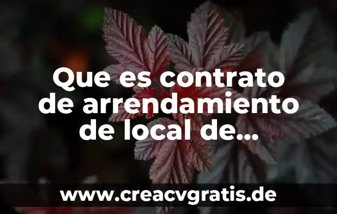 Que es clausulas de contrato 7 Que es contrato de arrendamiento de local de negocio