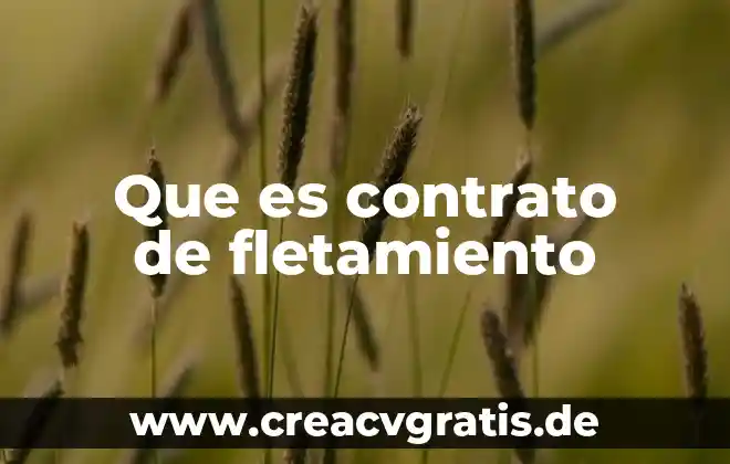 Que es un contrato de licencia de edicion 4 Que es contrato de fletamiento