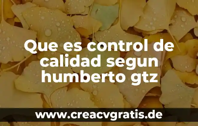 Que es la interferencias de datos 7 Que es control de calidad segun humberto gtz