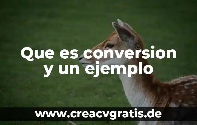Que es el precio del dinero ejemplo 6 Que es conversion y un ejemplo