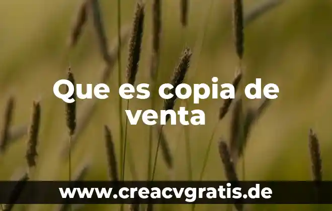 Que es la venta de soluciones 5 Que es copia de venta