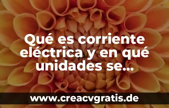 Que es un medidor de luz electrica 4 Qué es corriente eléctrica y en qué unidades se expresa