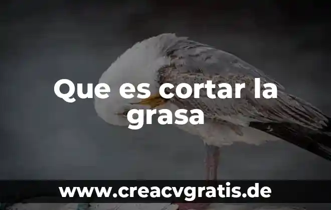 Que es la grasa significado 6 Que es cortar la grasa