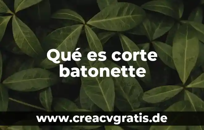 Qué es agua ligada en un alimento 7 Qué es corte batonette