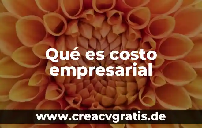 Que es lenguaje empresarial ejemplos 8 Qué es costo empresarial
