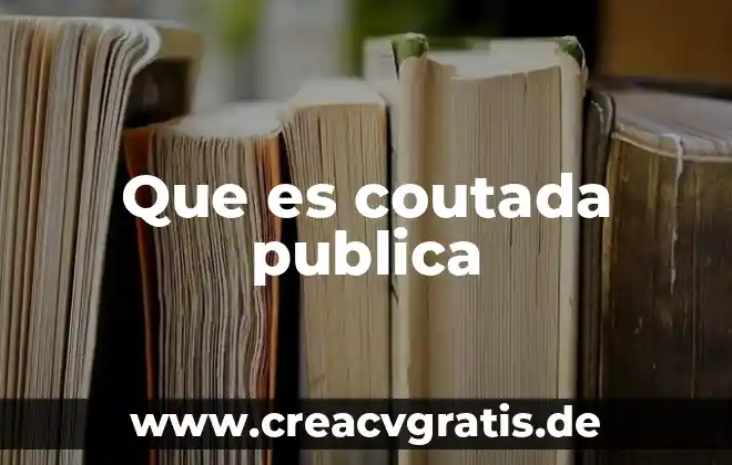 Para que es importancia derecho en contaduria publica 5 Que es coutada publica