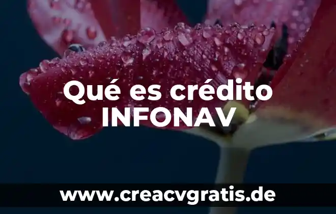 Que es un credito de dinero 5 Qué es crédito INFONAV