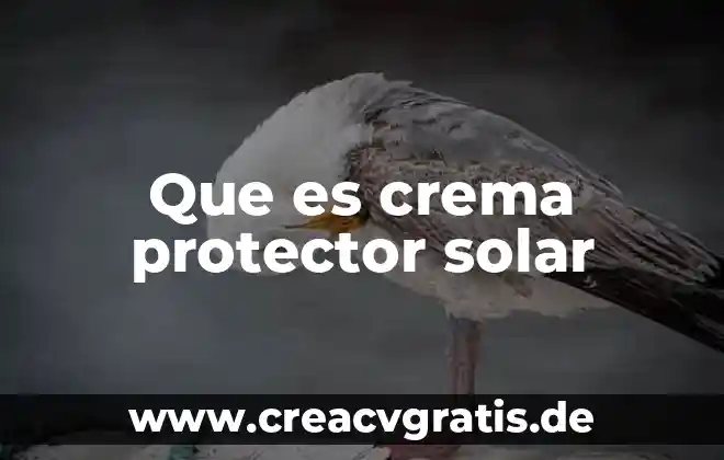 Que es una protector y bloqueador solar 4 Que es crema protector solar