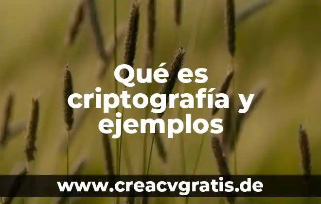 Que es un mensaje implícito ejemplos 6 Qué es criptografía y ejemplos