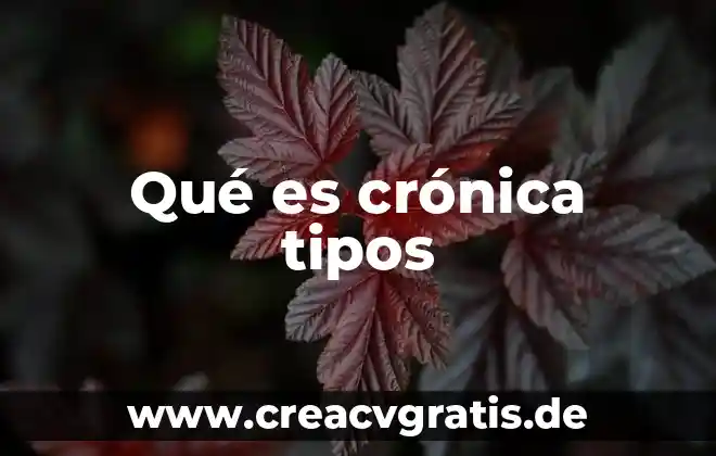 Que es servicio de restaurante y tipos 8 Qué es crónica tipos