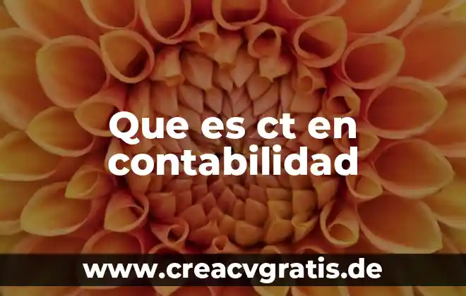 Que es ppp contabilidad 6 Que es ct en contabilidad