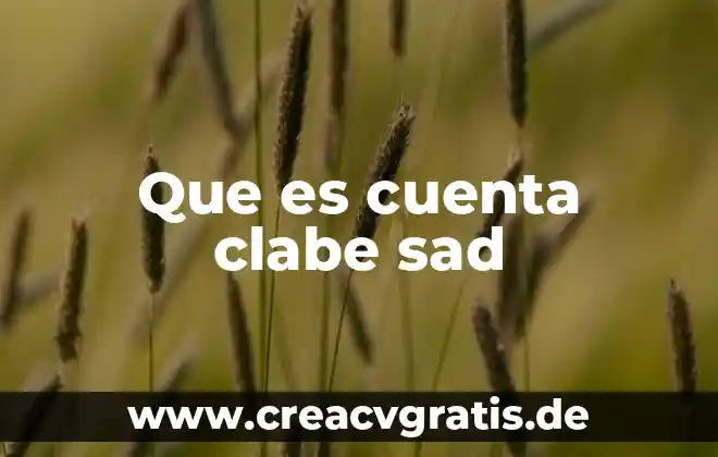 Para que es el numero clabe 3 Que es cuenta clabe sad