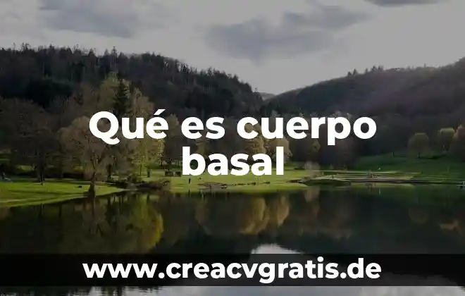 Que es el agua en el cuerpo 4 Qué es cuerpo basal