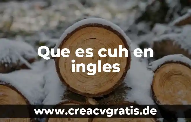 Que es la escorrentia del agua 7 Que es cuh en ingles