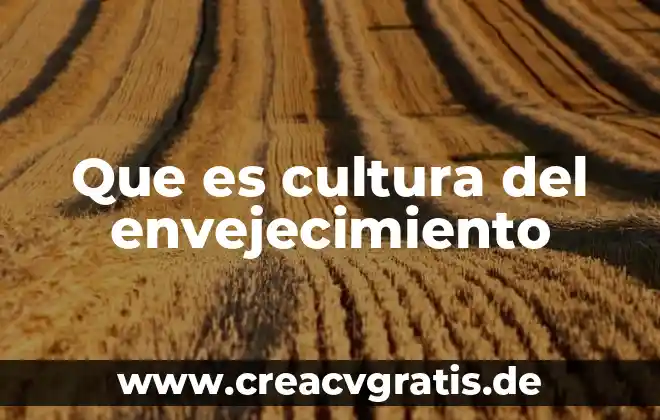 Que es la cultura alimentaria en mexico 3 Que es cultura del envejecimiento