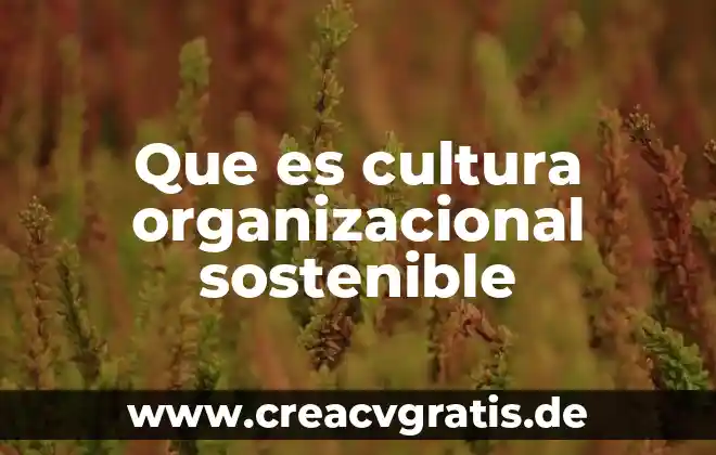 Que es concepto significado 3 Que es cultura organizacional sostenible