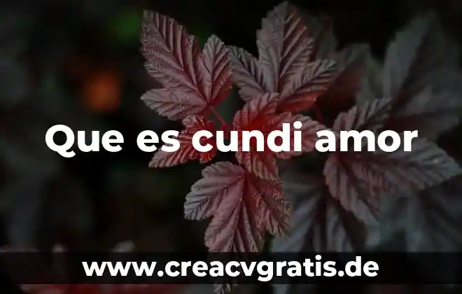 Que es el amor segun walter riso 7 Que es cundi amor