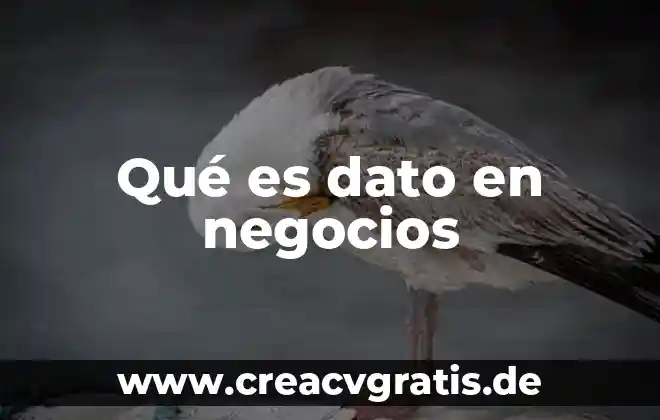 Que es un sistema de inteligencia de negocios 7 Qué es dato en negocios