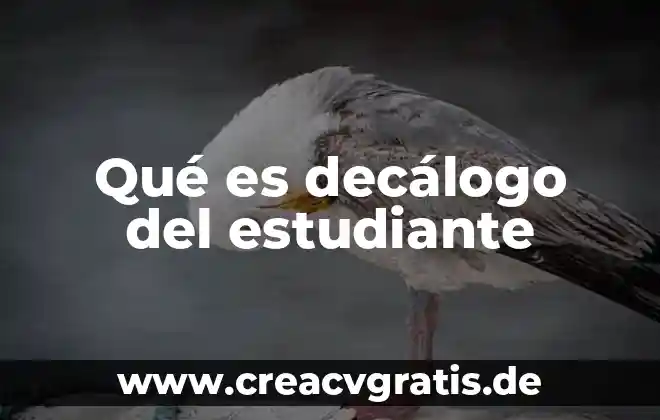 Que es bueno para la apnea del sueño 8 Qué es decálogo del estudiante