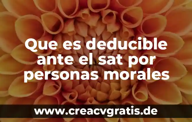 Que es un delito fiscal sat 3 Que es deducible ante el sat por personas morales