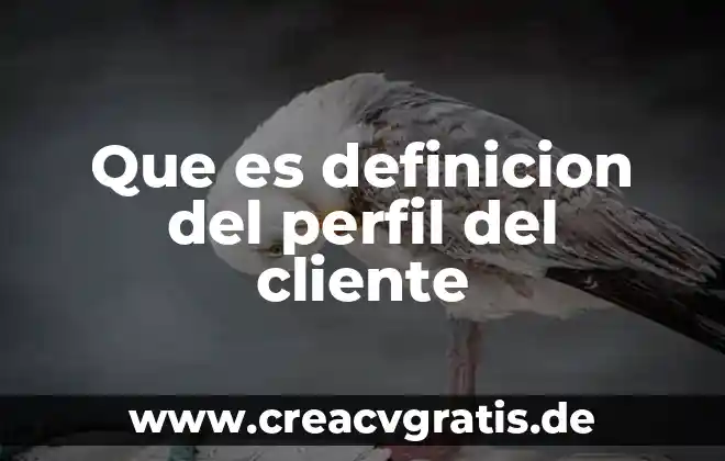 Qué es un diagrama de flujo de comunicación 7 Que es definicion del perfil del cliente