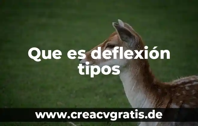 Que es descicion y tipos de decisiones 7 Que es deflexión tipos