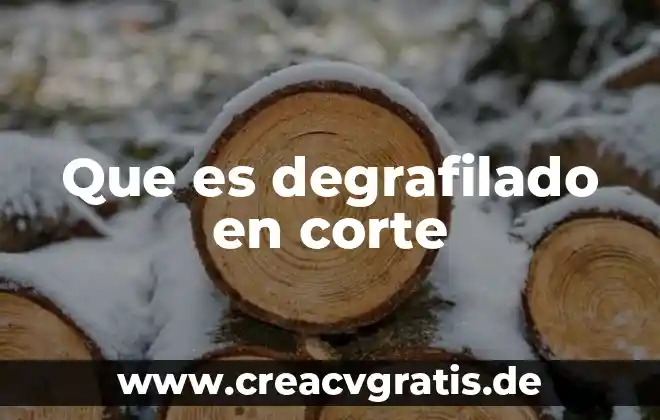 Qué es el pleno de la Suprema Corte de Justicia 6 Que es degrafilado en corte