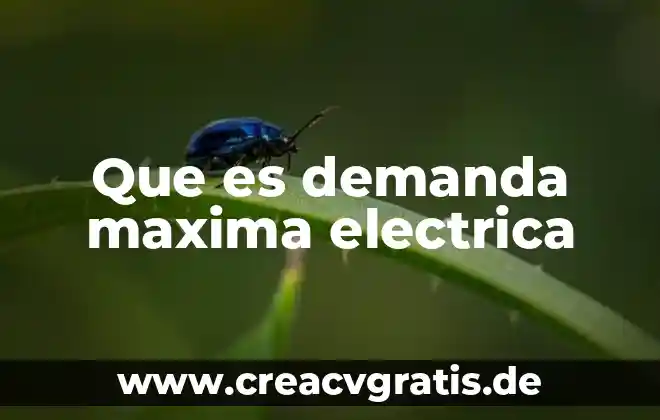 Que es un medidor de luz electrica 5 Que es demanda maxima electrica