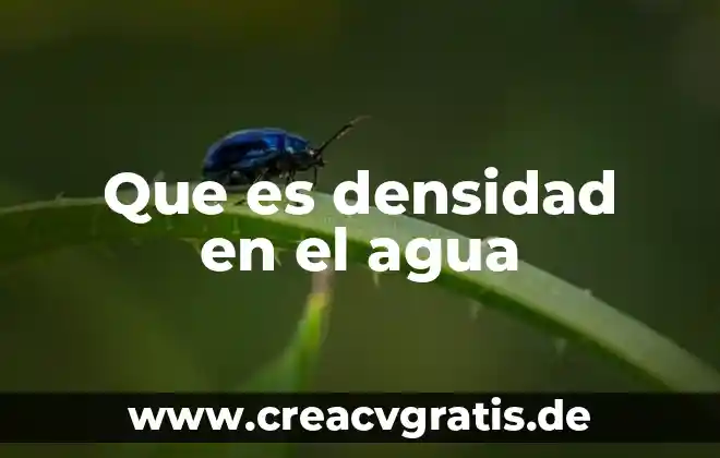 Que es una actividad de id 4 Que es densidad en el agua