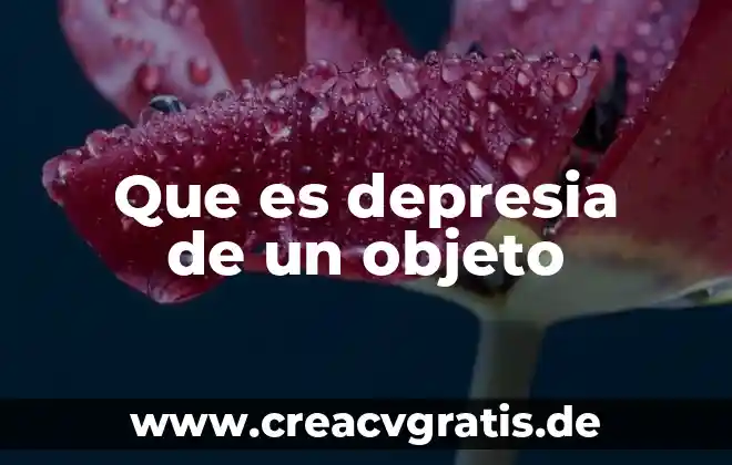 Que es objeto indirecto con su significado estructura y ejemples 4 Que es depresia de un objeto