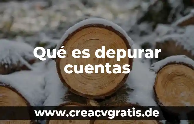 Qué es un catálogo de cuentas y sus tipos 8 Qué es depurar cuentas