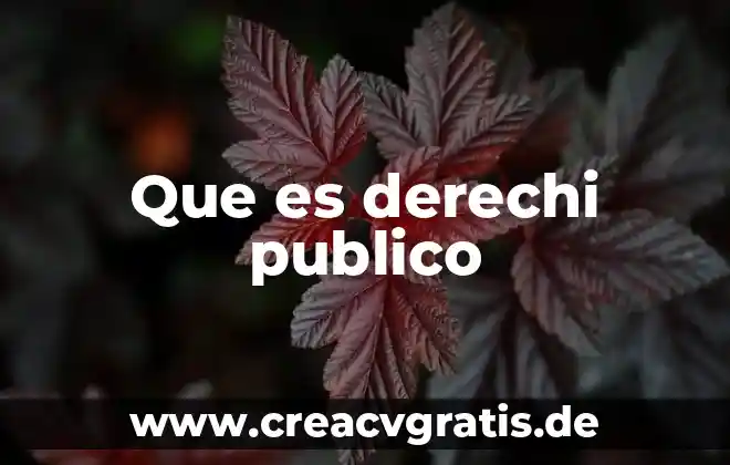 Que es dinero publico 4 Que es derechi publico